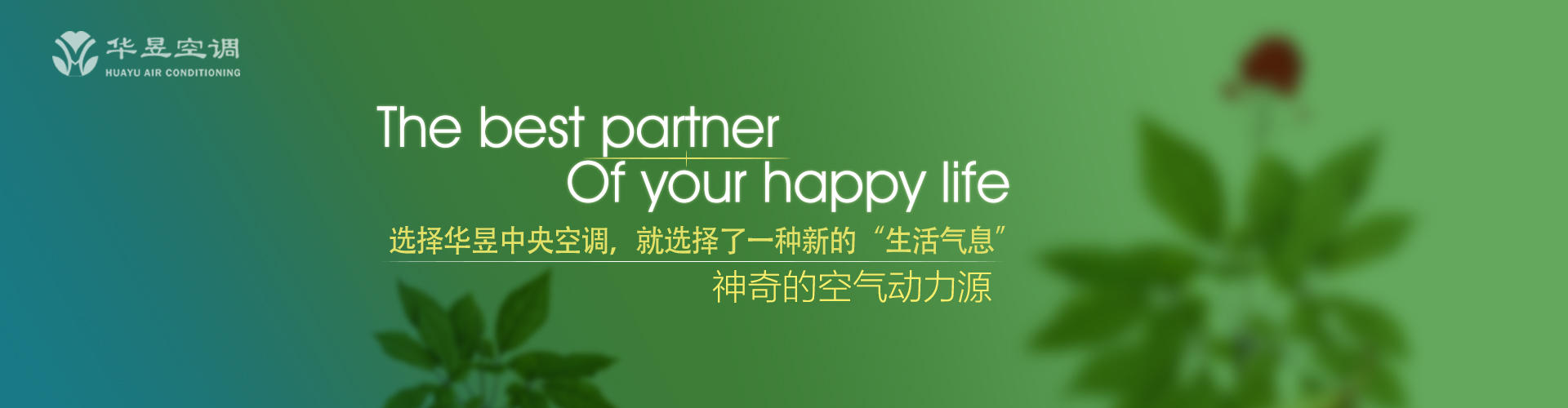 开宗明义网